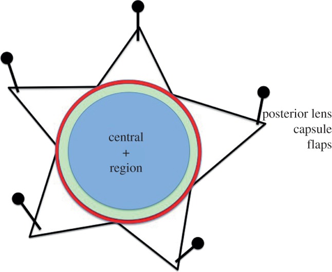 Figure 1.