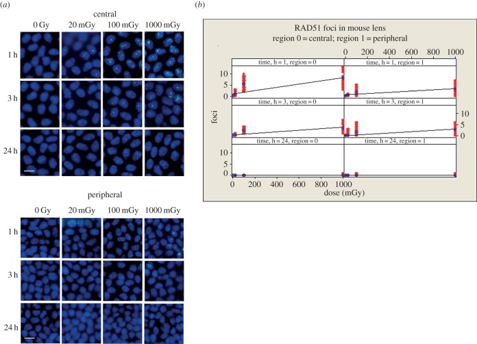 Figure 4.