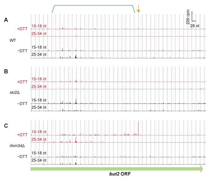 Figure 3—figure supplement 2.