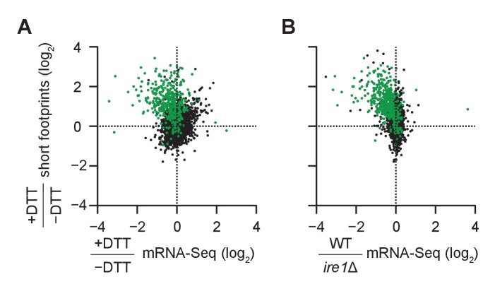 Figure 4—figure supplement 1.