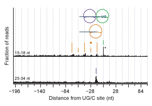 Figure 6—figure supplement 1.