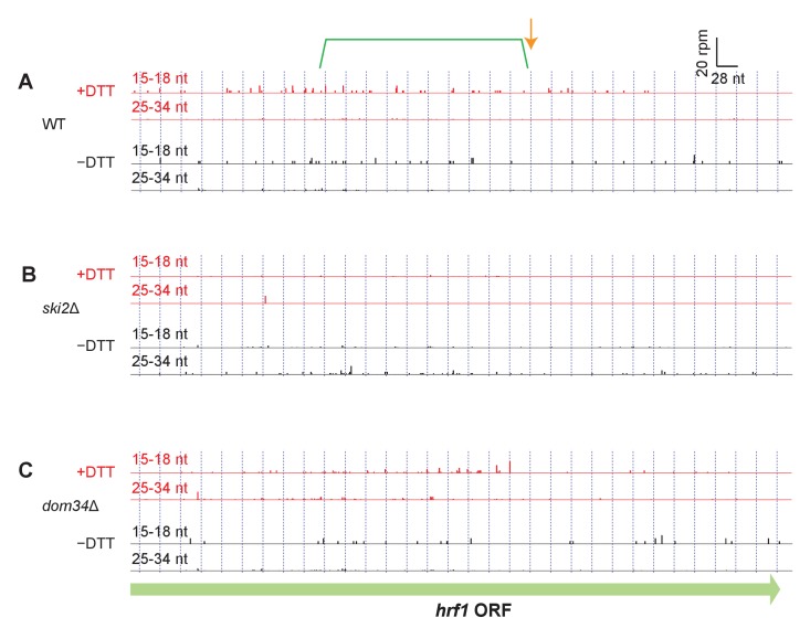 Figure 3—figure supplement 3.