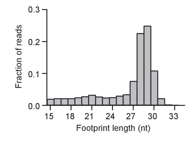 Figure 2—figure supplement 1.