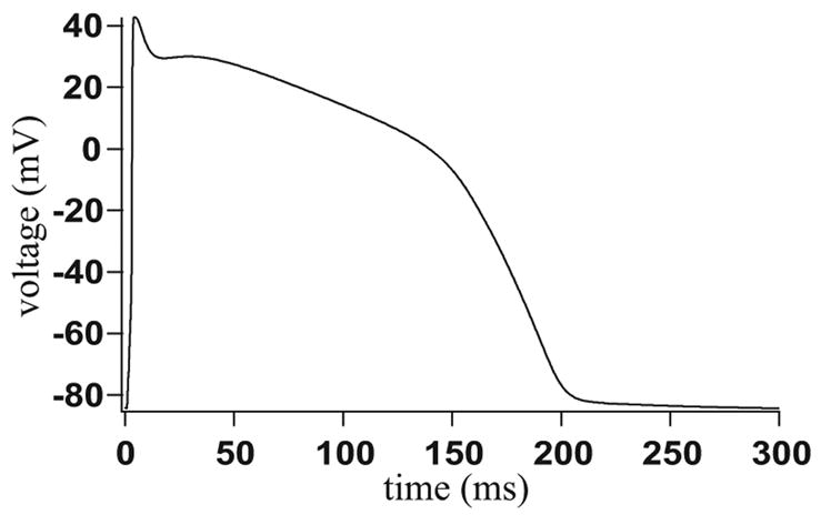 Figure 19