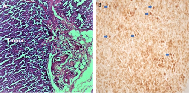 Figure 9