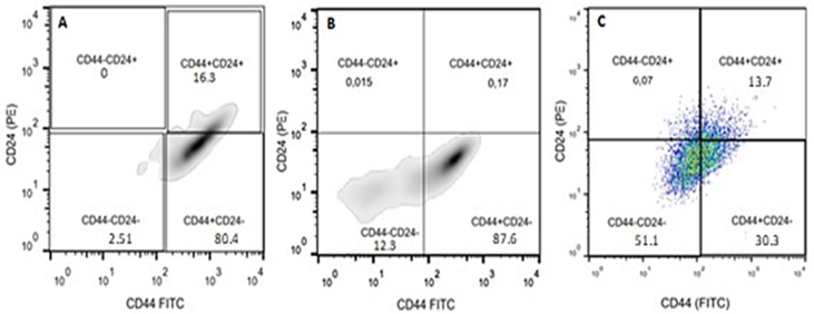 Figure 2