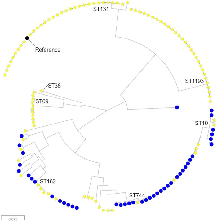 Figure 2.