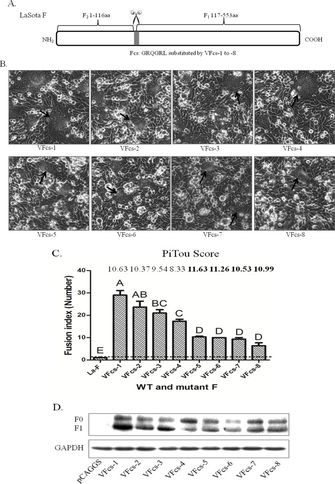 Fig 5