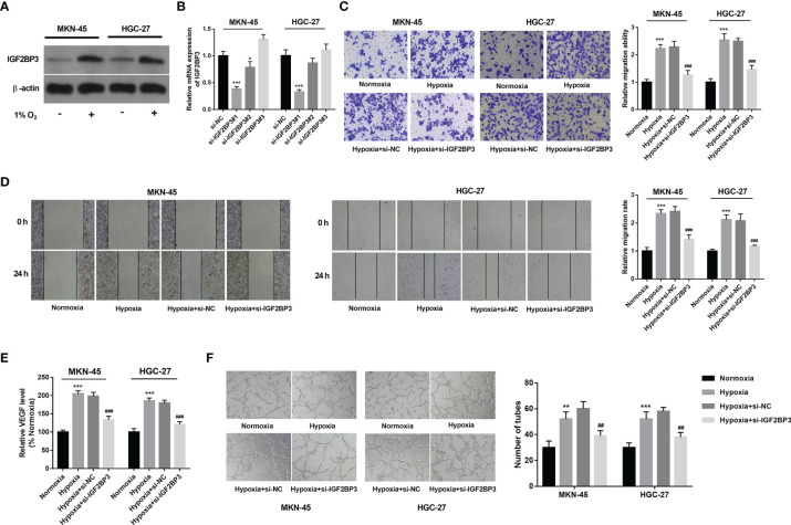 Figure 2