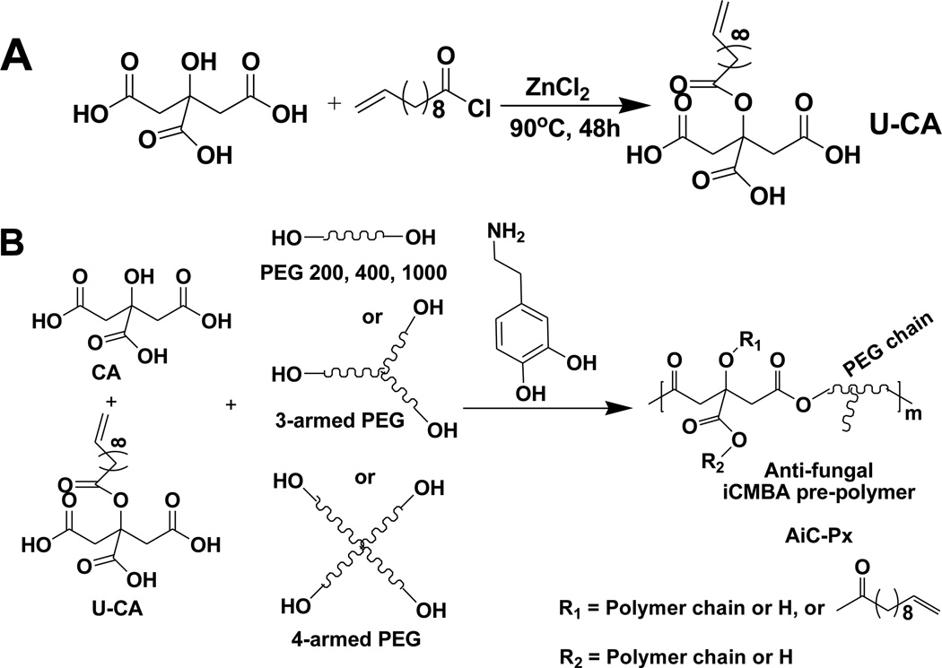 Scheme 1