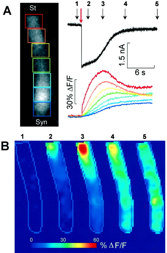 Fig. 4.