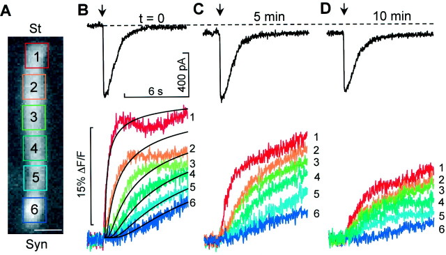 Fig. 2.