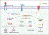 Fig. 4: