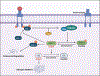 Fig. 6: