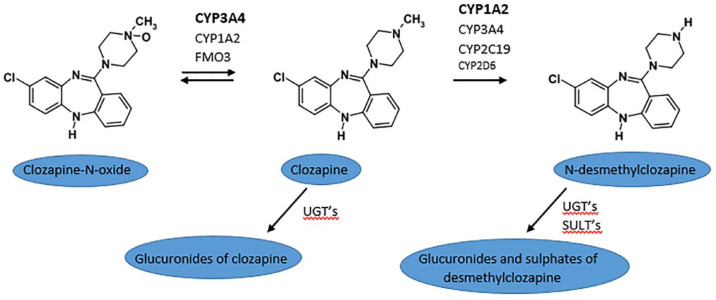 Figure 2.