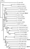 FIG. 1.