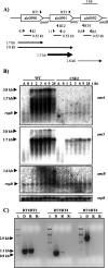 FIG. 2.