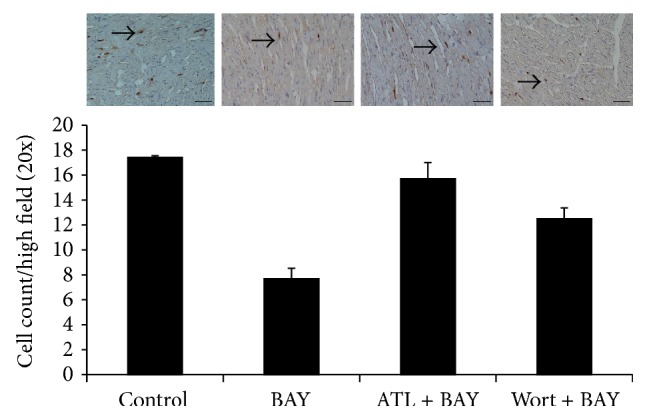 Figure 7