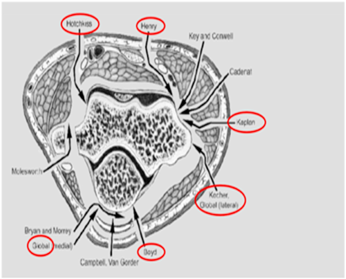 Fig. 1