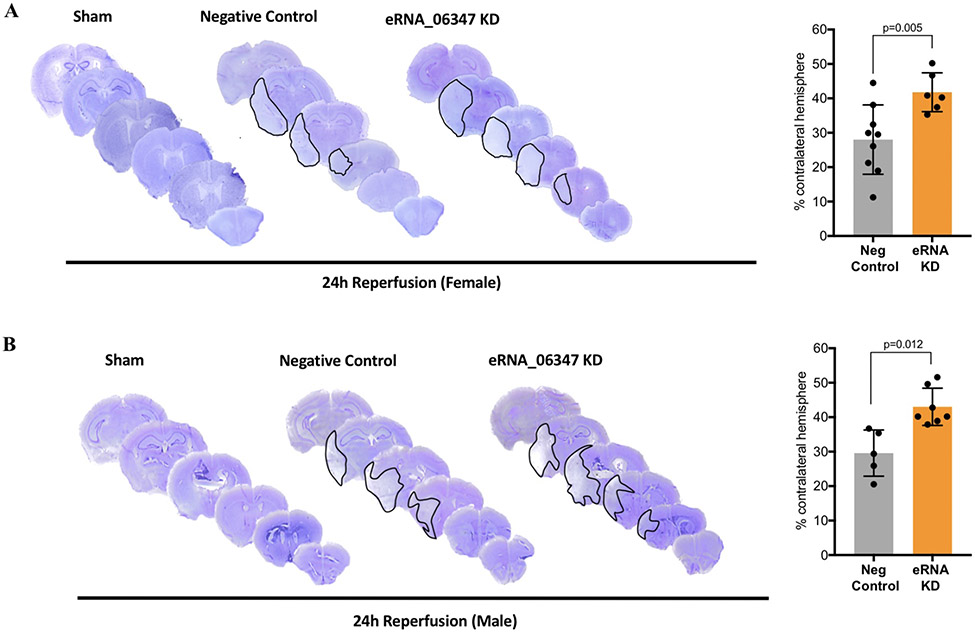 Figure 3: