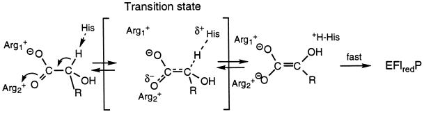 Scheme II