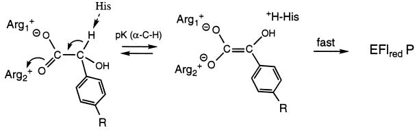 Scheme III