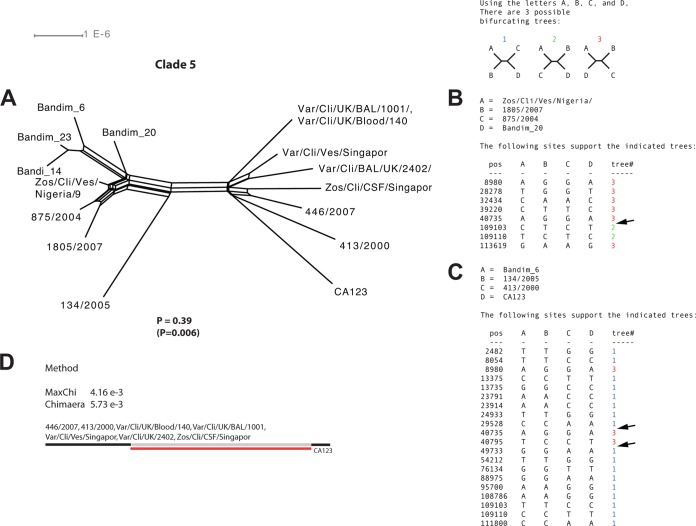 FIG 8