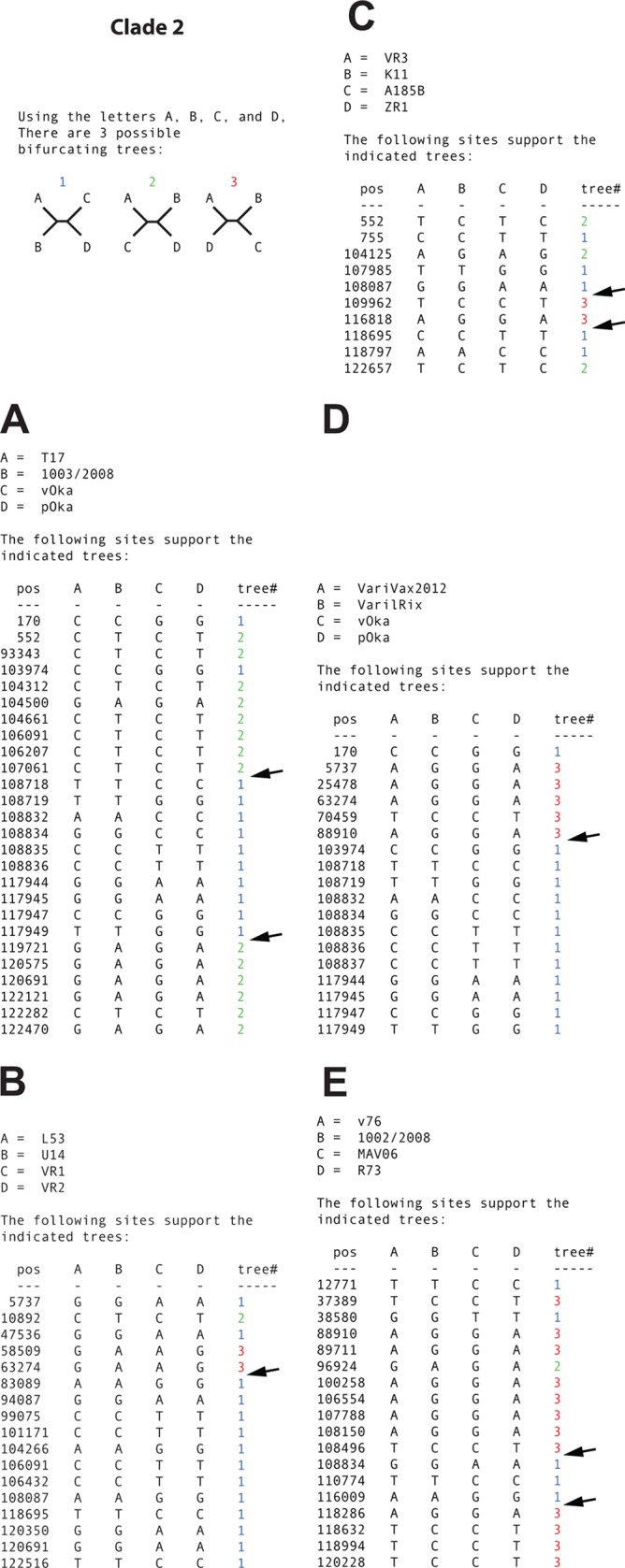 FIG 6