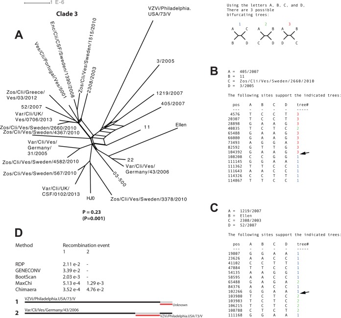 FIG 7