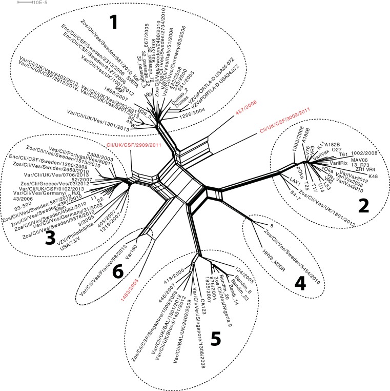 FIG 2