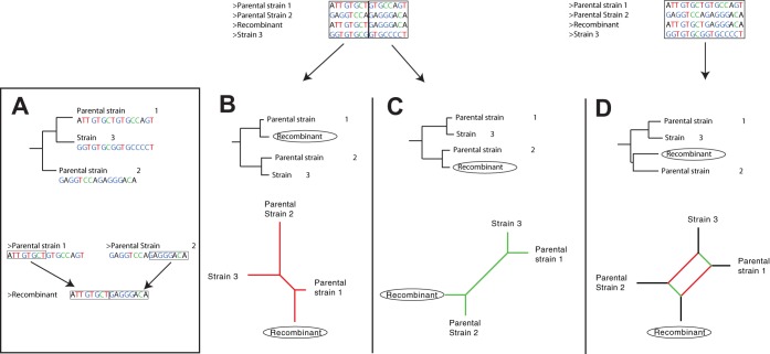 FIG 1