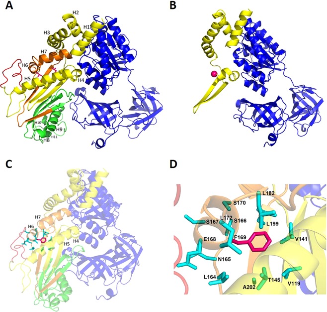 Figure 4