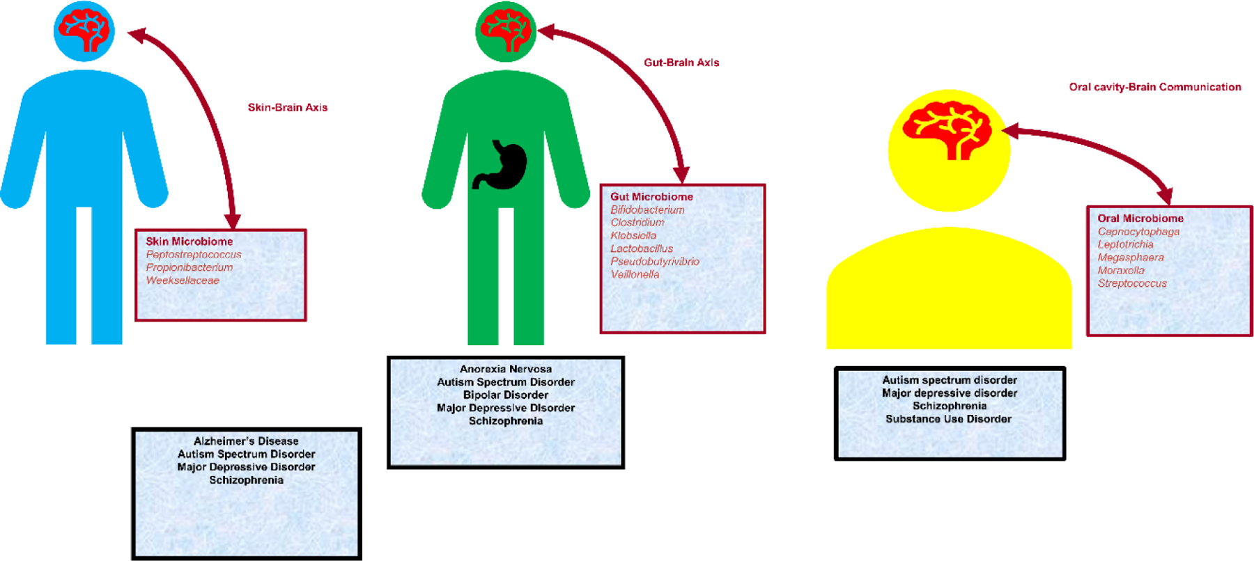 Figure 1: