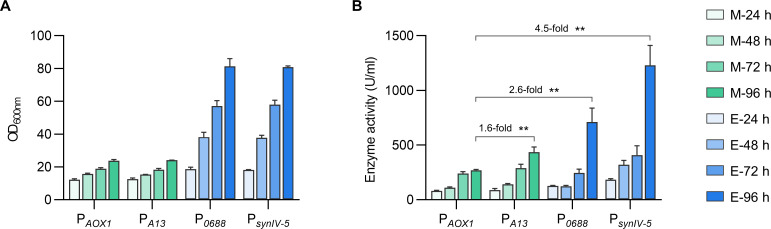 Bar charts compare optical density and enzyme activity for promoters PAOX1, PA13, P0688, and PsynIV-5 under methanol and ethanol conditions at 24, 48, 72, and 96 hours with error bars representing standard deviations.