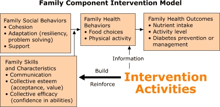 A logic model illustrates the family component of the diabetes control and prevention program at the U.S.-Mexico border. An arrow points from 'Intervention Activities' to the box 'Family Skills and Chacteristics' with the words 'Build' and 'Reinforce' to show how the intervention seeks to build and reinforce skills and characteristics as communication, collective esteem and collective efficacy (as described in text). Another arrow points from 'Intervention Activities' to the box 'Family Behaviors' with the word 'information' to show how providing information can impact family behaviors on food choices and physical activity. The arrow leading from 'Family Skills and Characteristics' to the arrow between 'Family Social Behavior' and 'Family Health Behaviors' shows how family heath behaviors are shaped by family social behaviors, skills, and characteristics. An arrow between 'Family Social Behaviors' (described in text) and 'Family Health Behaviors'show how social behaviors impact behaviors such as food choices and physical activity. An arrow leads from 'Family Health Behaviors'to 'Family Health Outcomes,' which include nutrient intake, activity level, and diabetes prevention or management (described in text).