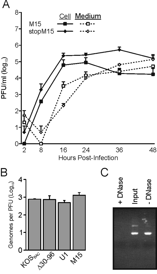 FIG. 6