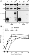 FIG. 7