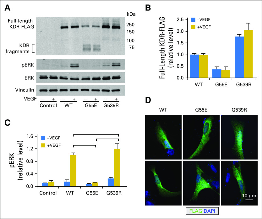 Fig 3.