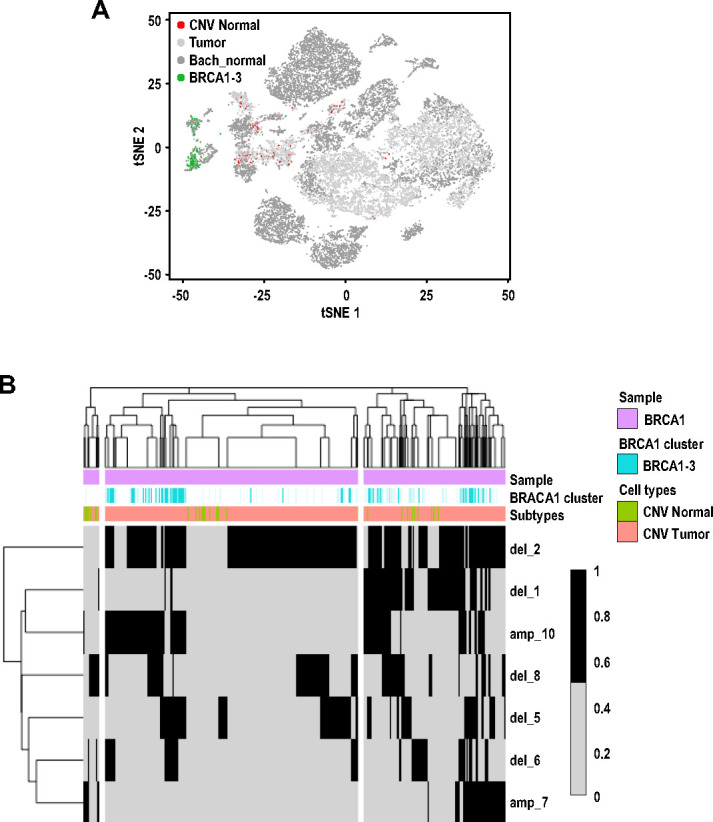 Figure 4—figure supplement 3.