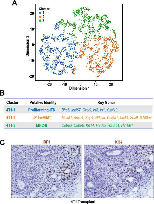 Figure 4—figure supplement 2.