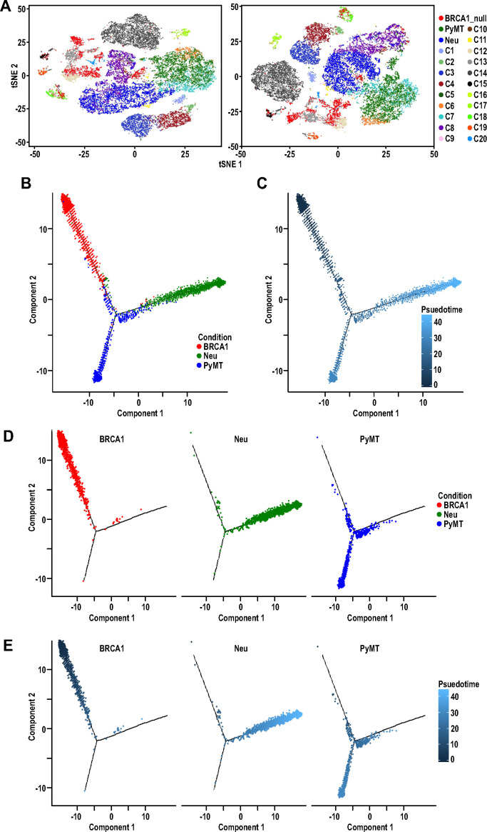 Figure 2—figure supplement 1.