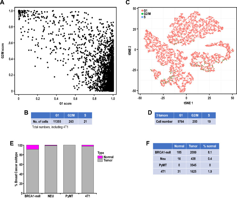 Figure 1—figure supplement 4.