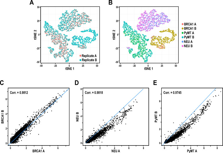 Figure 1—figure supplement 3.