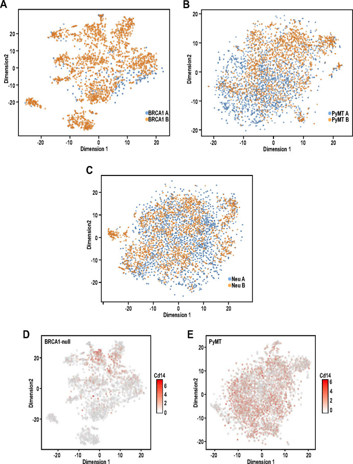 Figure 4—figure supplement 1.