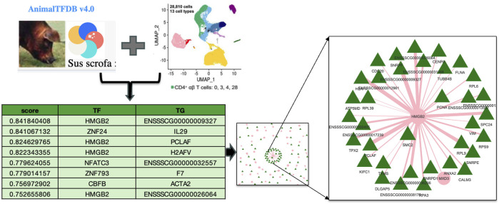 FIGURE 3