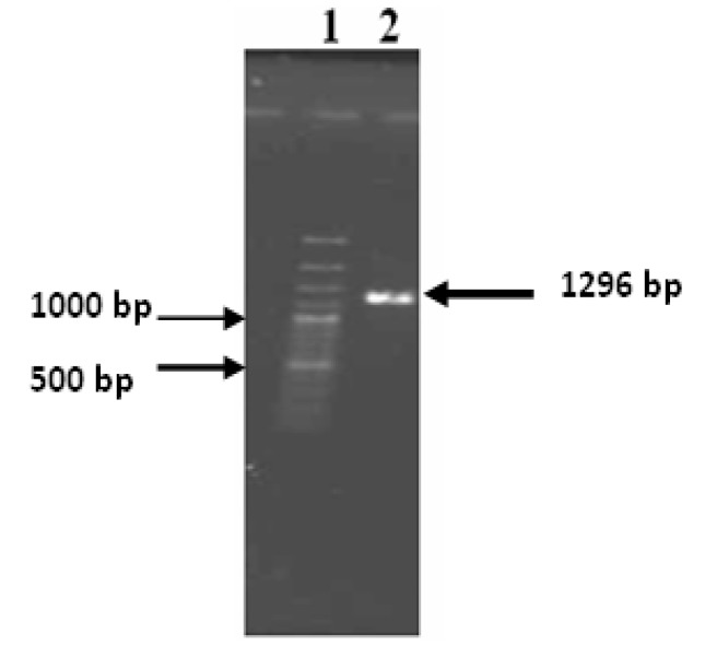 Figure 2.