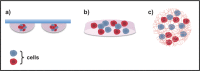 Fig. (7)