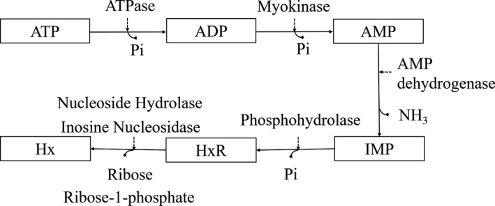 FIGURE 6