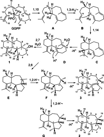 Scheme 1