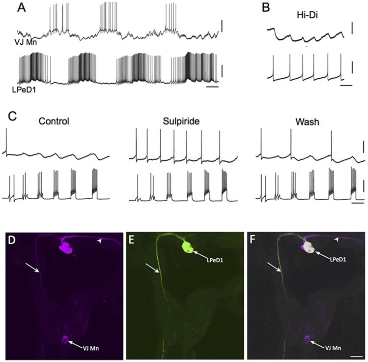 Figure 3.